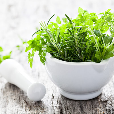 pilon_plantes pilon_plantes