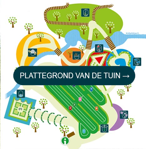 plan_2022_CTA-NL-2