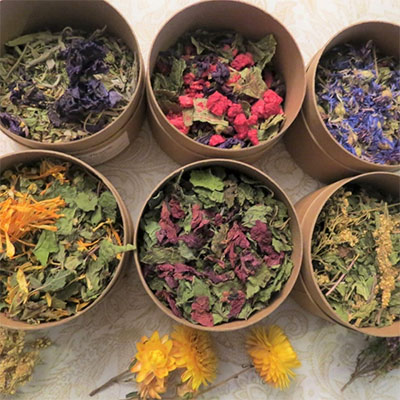 tisane_panacee tisane_panacee